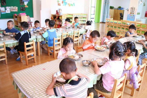真棒 武清这个镇幼儿园新校区正式投入使用 是你们镇吗