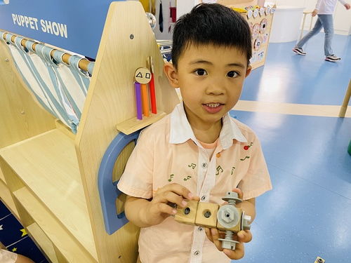 庐阳实验幼儿园教育集团四里河畔园 自主游戏 绽放童真