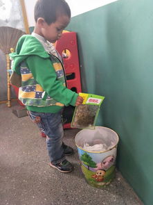 安全饮食 健康成长——隆化中心幼儿园食品安全教育活动纪实