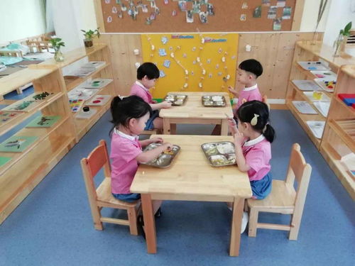 刚泰幼儿园返园通知